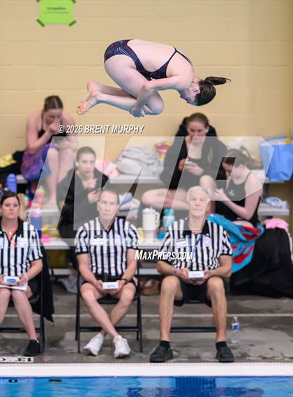 Thumbnail 1 in CHSAA 5A Finals (Diving) photogallery.