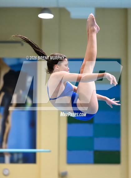 Thumbnail 1 in CHSAA 5A Finals (Diving) photogallery.