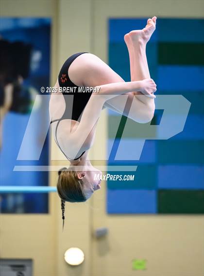 Thumbnail 2 in CHSAA 5A Finals (Diving) photogallery.
