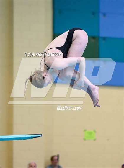 Thumbnail 1 in CHSAA 5A Finals (Diving) photogallery.