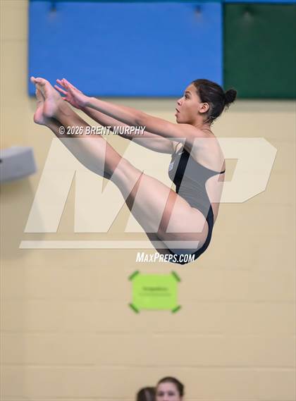 Thumbnail 3 in CHSAA 5A Finals (Diving) photogallery.