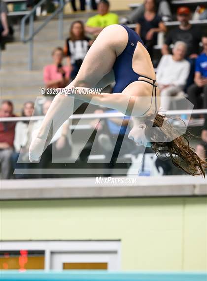 Thumbnail 3 in CHSAA 5A Finals (Diving) photogallery.