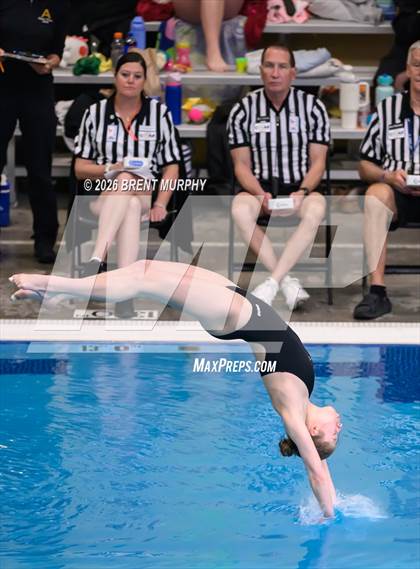 Thumbnail 1 in CHSAA 5A Finals (Diving) photogallery.