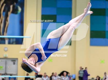 Thumbnail 1 in CHSAA 5A Finals (Diving) photogallery.