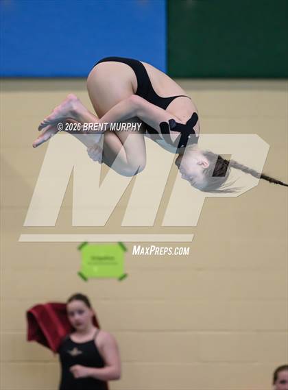 Thumbnail 2 in CHSAA 5A Finals (Diving) photogallery.