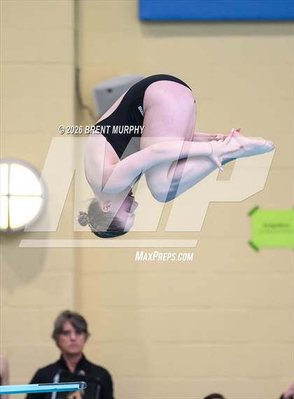 Thumbnail 3 in CHSAA 5A Finals (Diving) photogallery.
