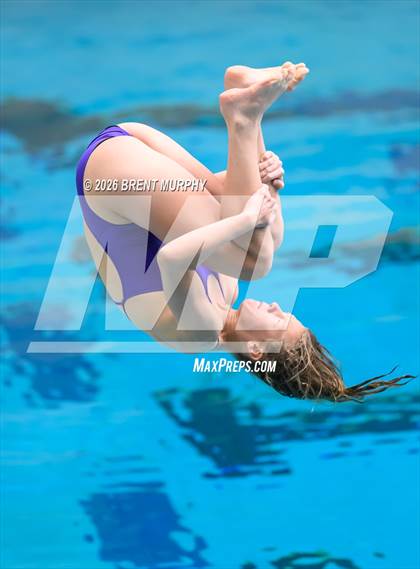 Thumbnail 2 in CHSAA 5A Finals (Diving) photogallery.