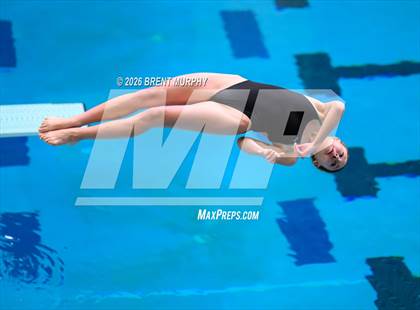 Thumbnail 2 in CHSAA 5A Finals (Diving) photogallery.
