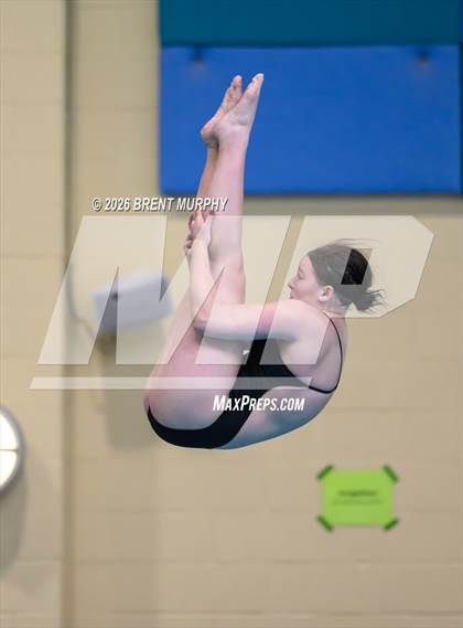 Thumbnail 3 in CHSAA 5A Finals (Diving) photogallery.