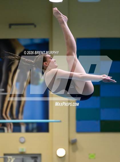 Thumbnail 1 in CHSAA 5A Finals (Diving) photogallery.