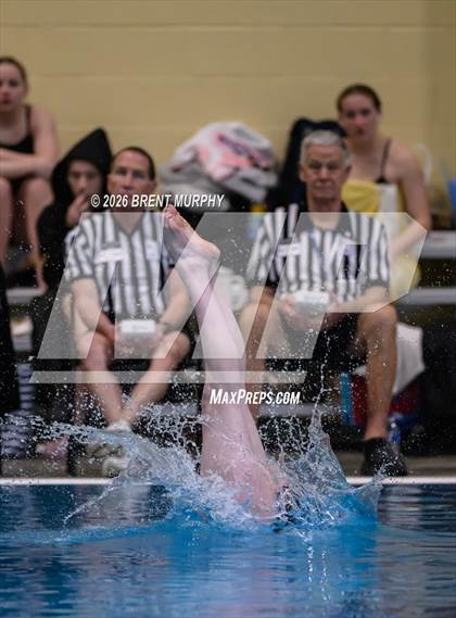 Thumbnail 3 in CHSAA 5A Finals (Diving) photogallery.