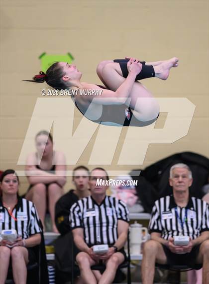 Thumbnail 1 in CHSAA 5A Finals (Diving) photogallery.