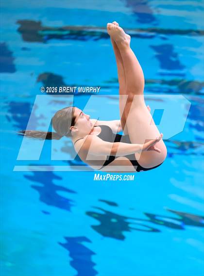 Thumbnail 1 in CHSAA 5A Finals (Diving) photogallery.