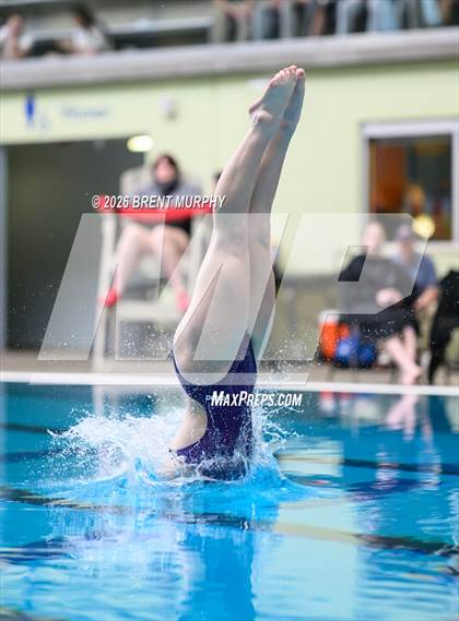 Thumbnail 3 in CHSAA 5A Finals (Diving) photogallery.