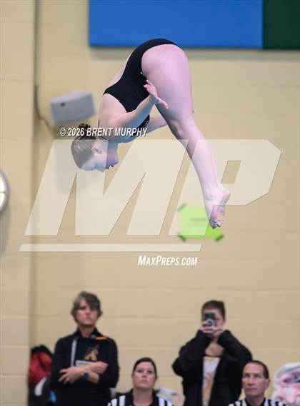 Thumbnail 1 in CHSAA 5A Finals (Diving) photogallery.