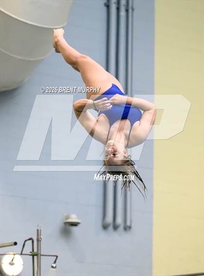 Thumbnail 3 in CHSAA 5A Finals (Diving) photogallery.