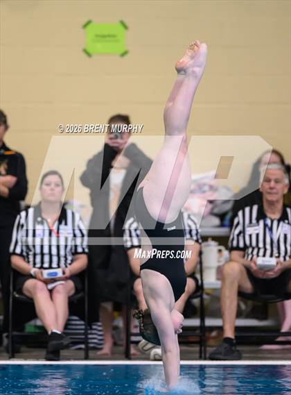 Thumbnail 2 in CHSAA 5A Finals (Diving) photogallery.