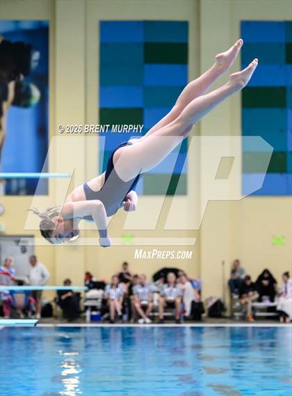 Thumbnail 1 in CHSAA 5A Finals (Diving) photogallery.