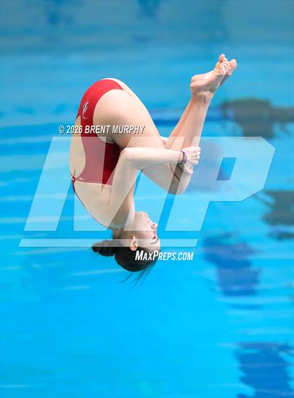 Thumbnail 3 in CHSAA 5A Finals (Diving) photogallery.