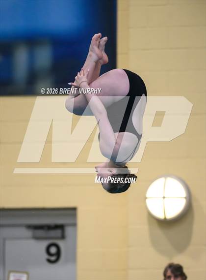 Thumbnail 2 in CHSAA 5A Finals (Diving) photogallery.
