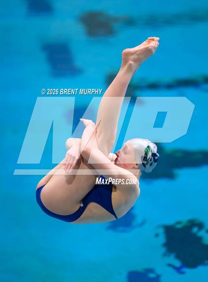 Thumbnail 3 in CHSAA 5A Finals (Diving) photogallery.