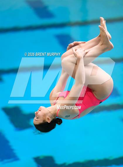 Thumbnail 1 in CHSAA 5A Finals (Diving) photogallery.