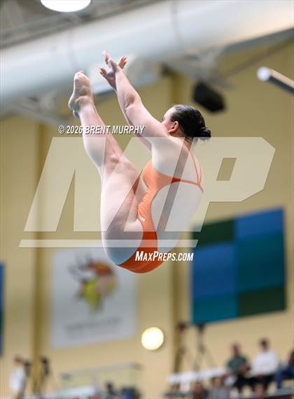 Thumbnail 2 in CHSAA 5A Finals (Diving) photogallery.