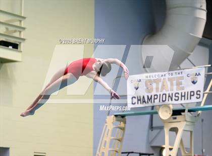 Thumbnail 3 in CHSAA 5A Finals (Diving) photogallery.