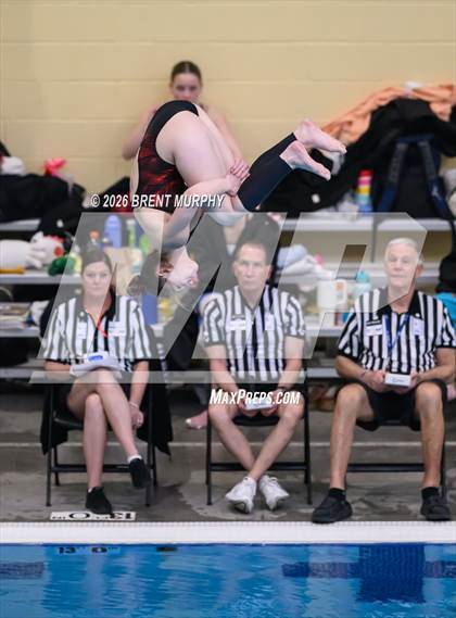 Thumbnail 1 in CHSAA 5A Finals (Diving) photogallery.