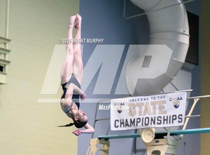 Thumbnail 2 in CHSAA 5A Finals (Diving) photogallery.