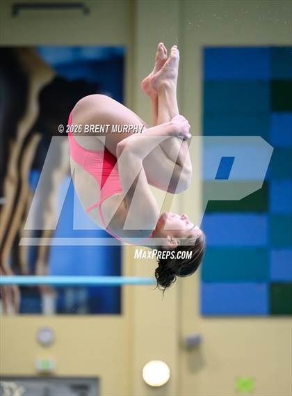 Thumbnail 3 in CHSAA 5A Finals (Diving) photogallery.