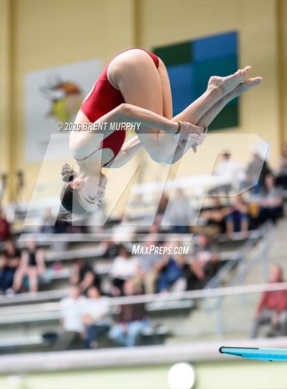 Thumbnail 3 in CHSAA 5A Finals (Diving) photogallery.