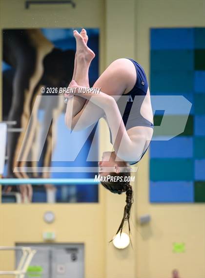 Thumbnail 3 in CHSAA 5A Finals (Diving) photogallery.