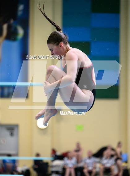 Thumbnail 3 in CHSAA 5A Finals (Diving) photogallery.