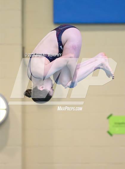 Thumbnail 2 in CHSAA 5A Finals (Diving) photogallery.