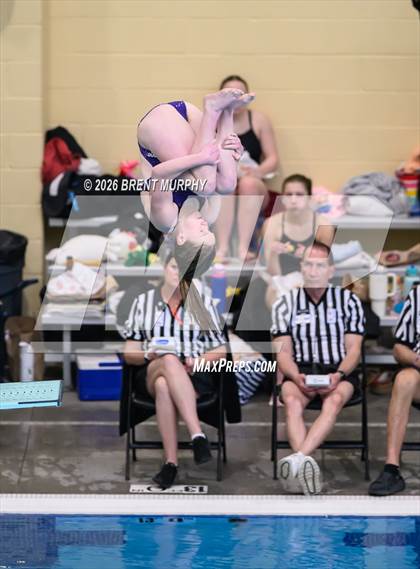 Thumbnail 1 in CHSAA 5A Finals (Diving) photogallery.