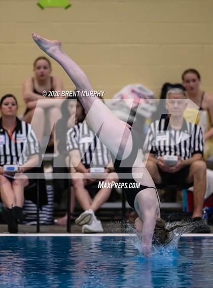 Thumbnail 2 in CHSAA 5A Finals (Diving) photogallery.