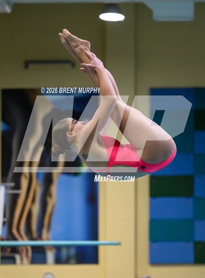 Thumbnail 2 in CHSAA 5A Finals (Diving) photogallery.