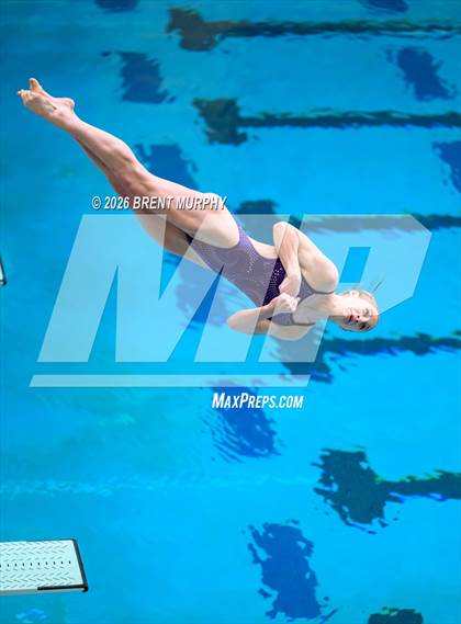 Thumbnail 1 in CHSAA 5A Finals (Diving) photogallery.