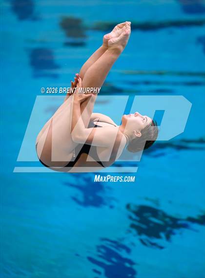 Thumbnail 3 in CHSAA 5A Finals (Diving) photogallery.