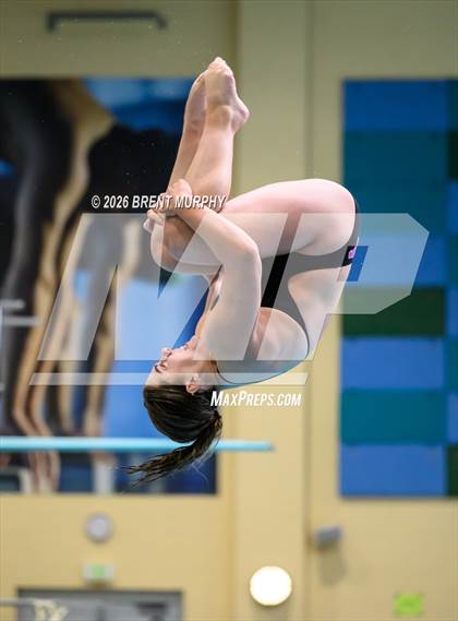 Thumbnail 1 in CHSAA 5A Finals (Diving) photogallery.