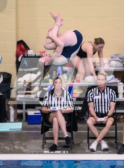 Thumbnail 1 in CHSAA 5A Finals (Diving) photogallery.