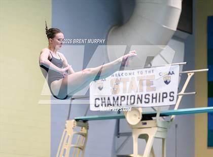 Thumbnail 3 in CHSAA 5A Finals (Diving) photogallery.