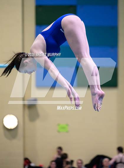 Thumbnail 3 in CHSAA 5A Finals (Diving) photogallery.