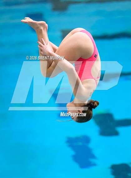 Thumbnail 1 in CHSAA 5A Finals (Diving) photogallery.
