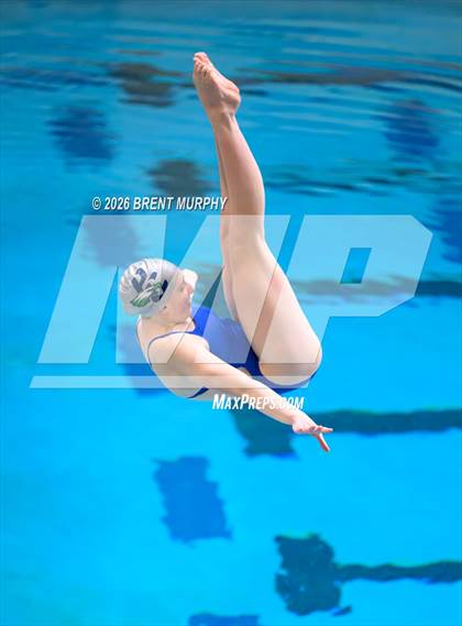Thumbnail 3 in CHSAA 5A Finals (Diving) photogallery.