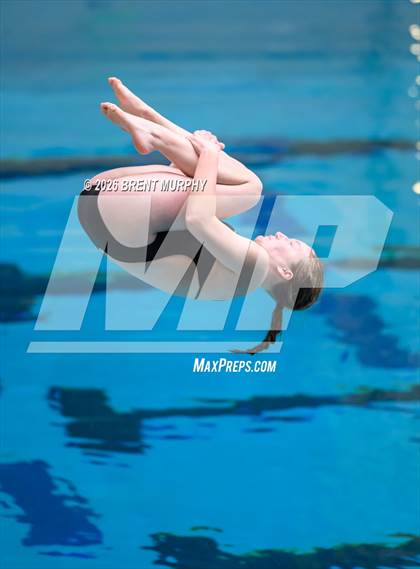 Thumbnail 2 in CHSAA 5A Finals (Diving) photogallery.
