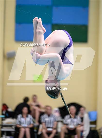 Thumbnail 3 in CHSAA 5A Finals (Diving) photogallery.