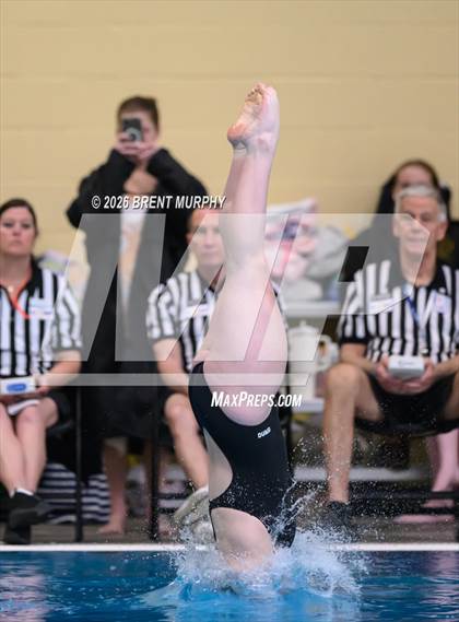 Thumbnail 3 in CHSAA 5A Finals (Diving) photogallery.