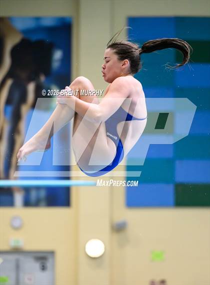 Thumbnail 2 in CHSAA 5A Finals (Diving) photogallery.